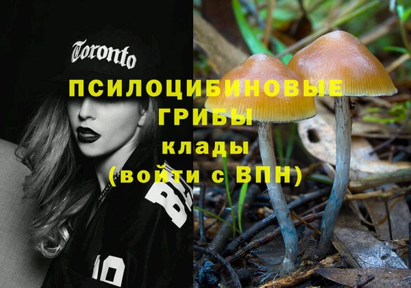 дмт Арсеньев