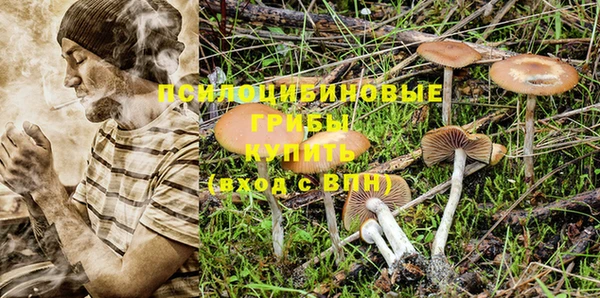 марки nbome Аркадак