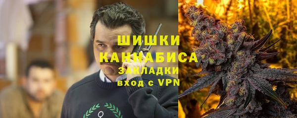 дмт Арсеньев