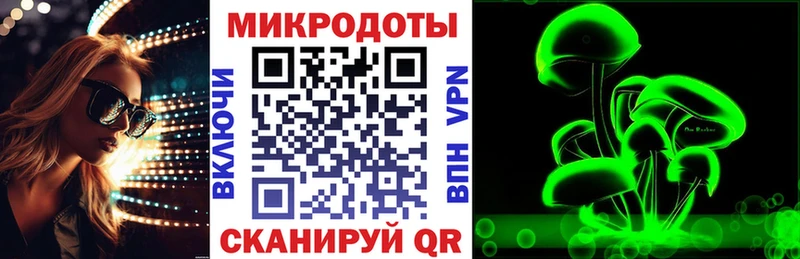 Псилоцибиновые грибы Psilocybine cubensis  Белозерск 