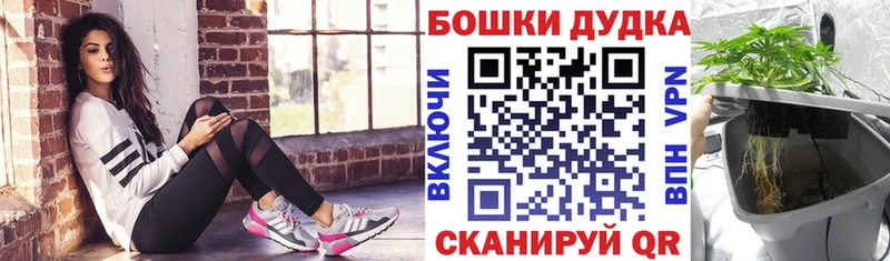 kraken ТОР  Белозерск  Конопля THC 21% 